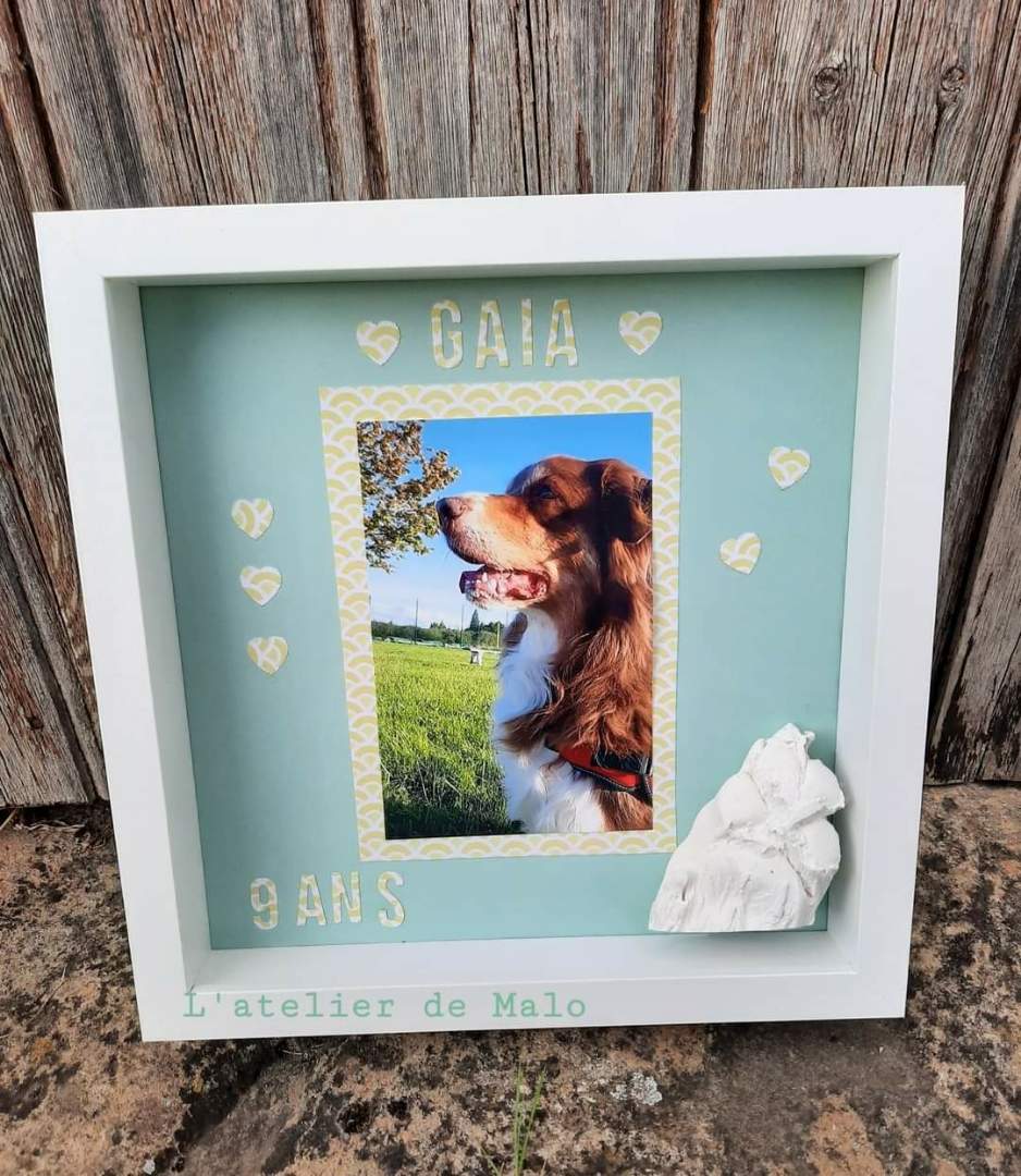 Cadre avec une empreinte de chien